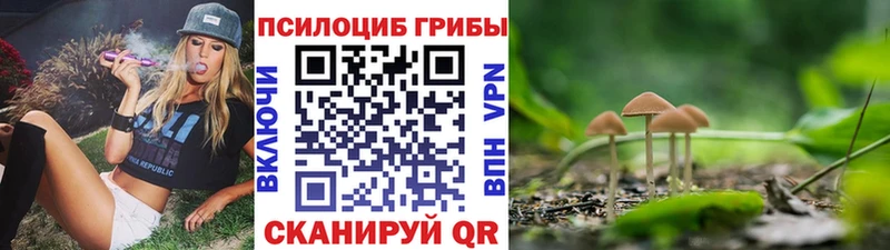 Купить  Демидов  Псилоцибиновые грибы прущие грибы 
